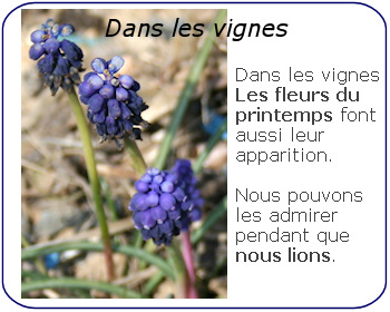 Nos actualit&eacute;s plus en d&eacute;tail