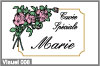 bouquet de rose et cadre