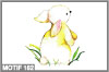 petit lapin