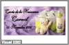 Biberon, chaussure et nounours