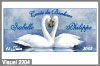 cygnes mariage
