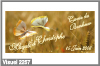 papillon et champ de bl�