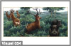 Cerfs et sangliers