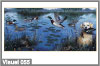 Canards et labrador au bord de l etang