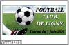 ballon de football