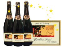 Cliquez pour agrandir les bouteilles de champagne de noel