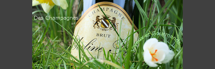 D�couvrez nos champagnes