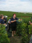 Nadine, notre cuisini&egrave;re, dans les vignes pour la premi&egrave;re fois depuis 10 ans pour cette vendange exceptionnelle