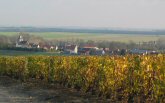 Vignes de Vert Toulon