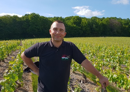 Alexandre champagne de vigneron