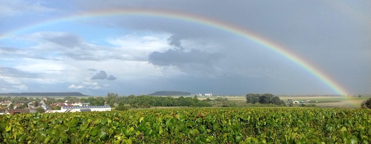 Tous nos Champagnes à prix cocooning