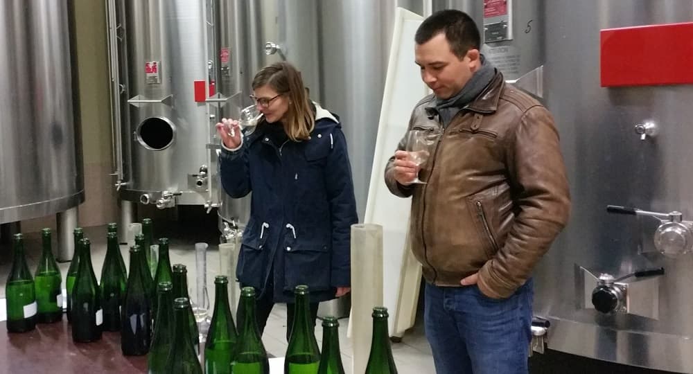 assemblage des vins clairs de la vendange 2017