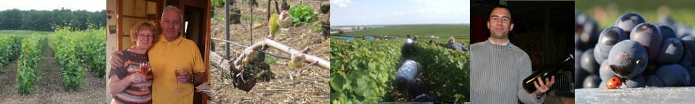 Les archives de notre blog tout savoir sur un vigneron en champagne