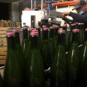 Bouteilles de champagne prêtes à vieillir dans les caves du producteur