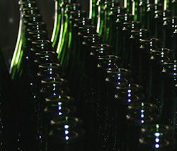 Bouteilles de champagne vide pour le tirage 2011