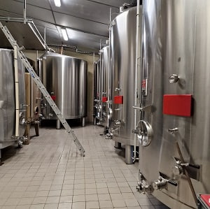 De bons vins pour faire de bons champagnes