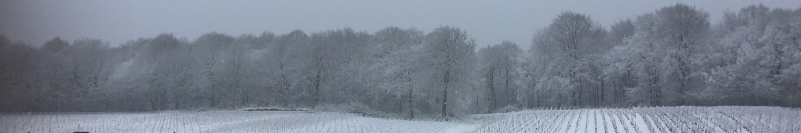 Cocooning au Champagne