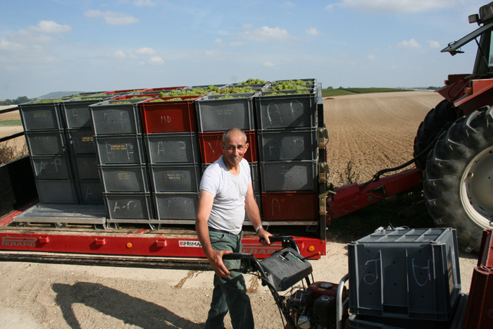 Daniel fidele debardeur pose les caisses pleines sur le plateau du tracteur pretes pour partir au pressoir