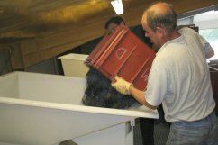 Chargement du pressoir