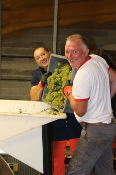 Chargement du pressoir