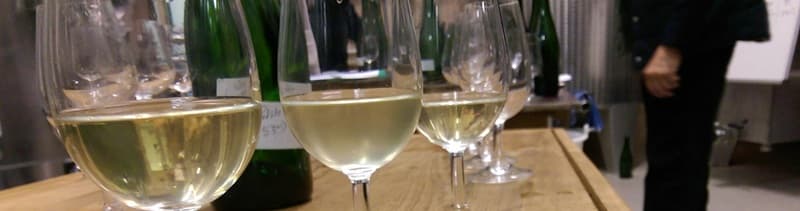 Creation de champagne de petit producteur pas cher