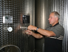 Dégustation des vins en caves avant la mise en bouteille