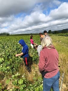 Equipe de palissage champagne Prat juin 2020