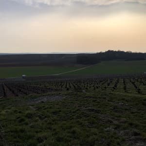 Fin de journée avec un coucher de soleil pour un vigneron en Champagne