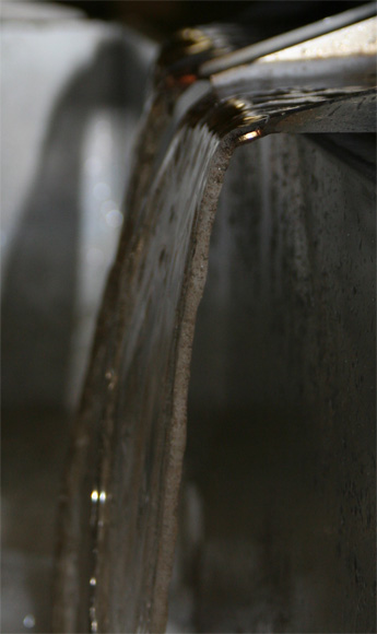 Jus de raisin de champagne en sortie de pressoir