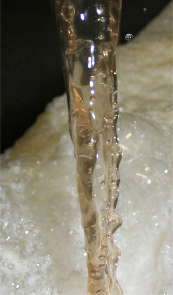 jus de raisin frais s ecoulant dans les belons