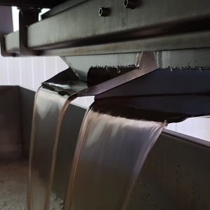 Le jus de raisin en sortie de pressoir à déguster sans modération