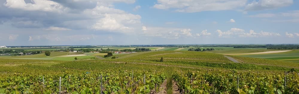 La vue de Vert Toulon depuis la vigne des pierrieres