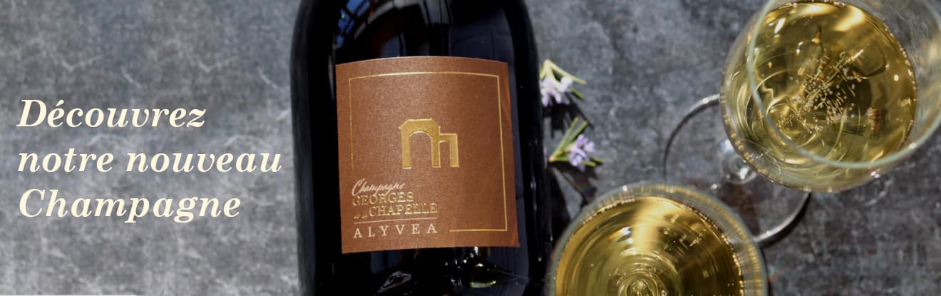 Meilleur Champagne de petit producteur independant 