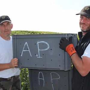 Pas facile de porter des caisses de raisins toute la journée