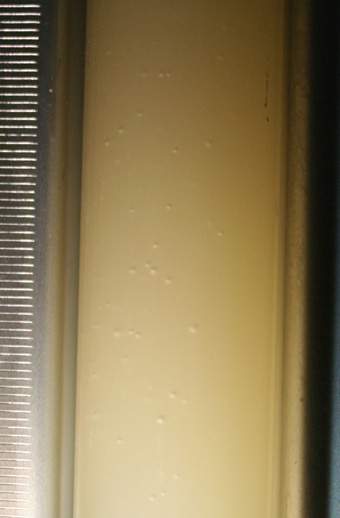 Premiere fermentation alcoolique en fin de vendanges. vins clairs de champagne