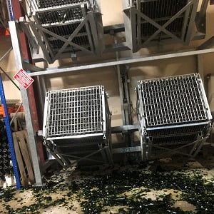 Bouteilles de champagne cassées lors du remuage avec un gyro palette