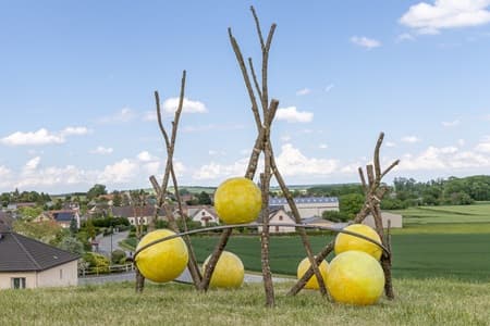 Bouteille de champagne blanc de blanc 