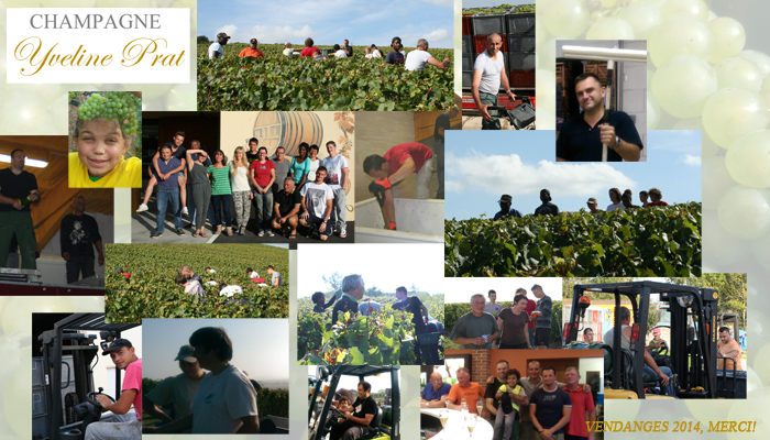 VEndanges 2014 merci a tous