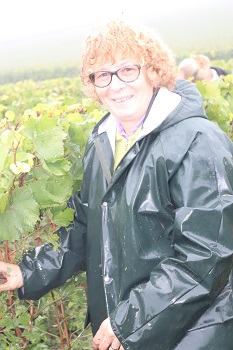 40eme Vendange pour Yveline