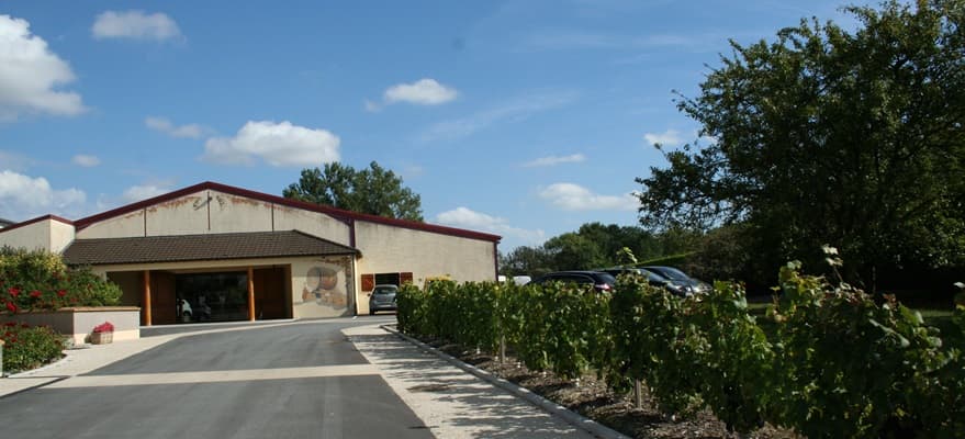 Visite de caves de petit producteur en Champagne
