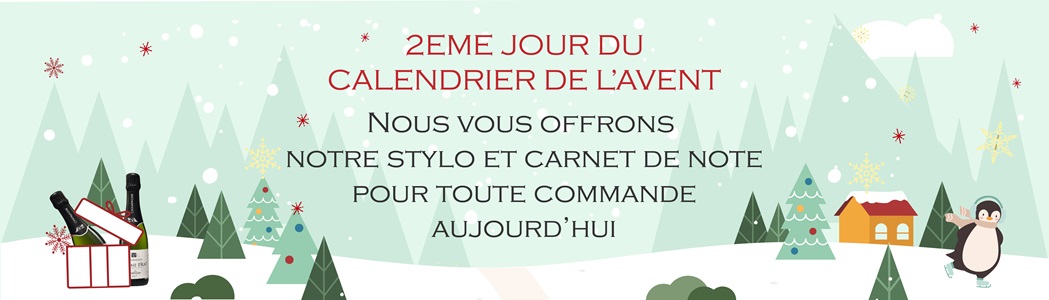 Promo Champagne pour Noel 