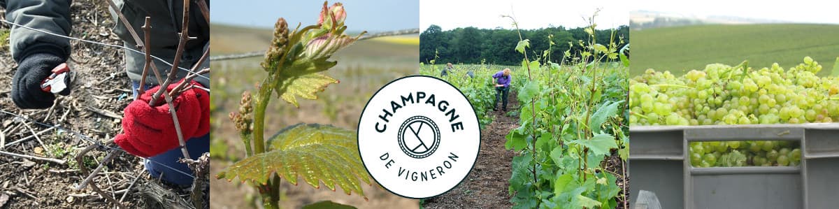 Les Champagnes de Vignerons