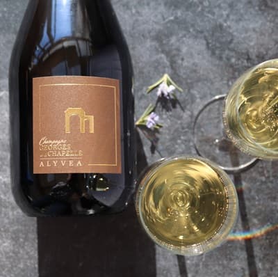 Meilleur Champagne pour accord avec plat de poisson