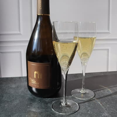Meilleur Champagne blanc de blancs de vigneron
