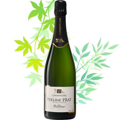 Champagne millésime en direct du producteur vigneron indépendant