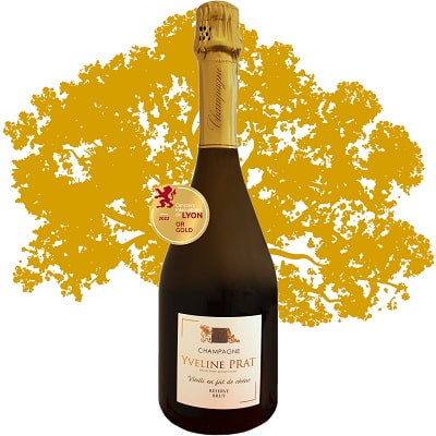 Beautiful Champagne aged in oak barrels by a small artisan producer 