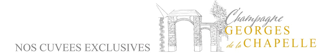 Meilleur champagne de producteur RM Georges de la Chapelle