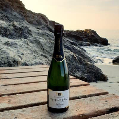 Champagne millésime frais pour l'apéritif