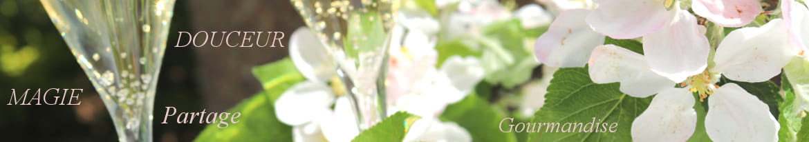 Champagne pour la fête des mères idée cadeau