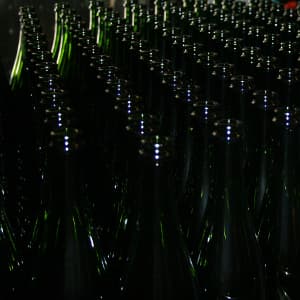 Bouteilles de champagne vides avant tirage en avril